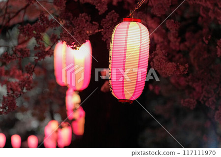 Kitakami City Park Exhibition Championship Area 117111970