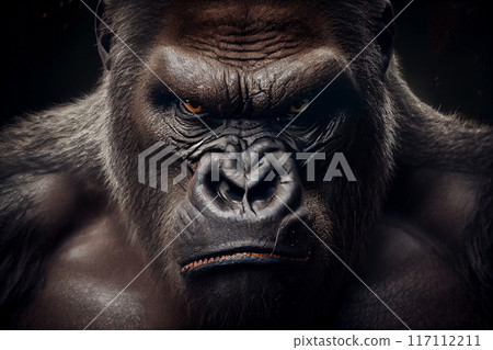 A closeup shot of a brown gorilla with angry scary expression A closeup shot of a brown gorilla with angry scary expression 117112211