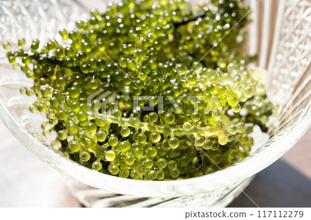 Sea grapes image 117112279