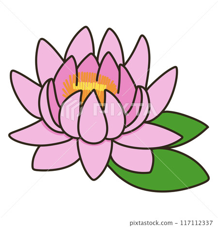 Water lily Water lily 117112337
