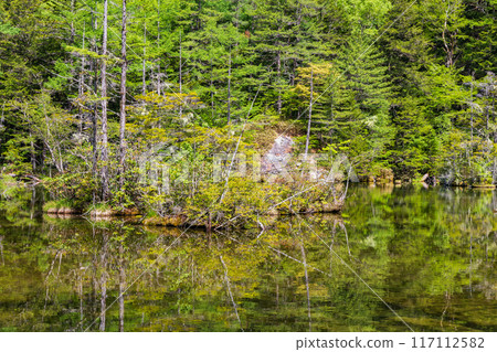 One of Japan's leading mountain resorts: Kamikochi's fresh greenery and Myojin Pond 117112582
