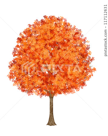 有紅色葉子的樹 117112631