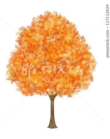 Red leafed tree Red leafed tree 117112634