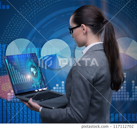 Businesswoman with laptop in business concept 117112702