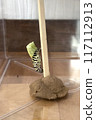 A swallowtail butterfly larva undergoing its final molting to become a pupa 117112913