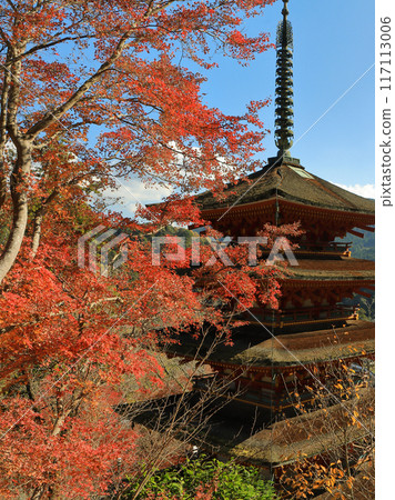 The five-story pagoda of Hasedera Temple in Sakurai, Nara Prefecture, with autumn leaves 117113006