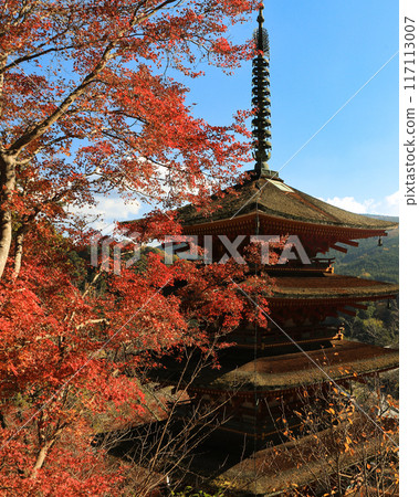 The five-story pagoda of Hasedera Temple in Sakurai, Nara Prefecture, with autumn leaves The five-story pagoda of Hasedera Temple in Sakurai, Nara Prefecture, with autumn leaves 117113007