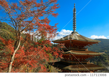 奈良縣櫻井市總寺長谷寺，五層寶塔，秋葉 117113008