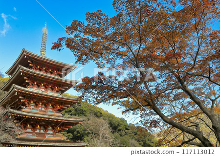 The five-story pagoda of Hasedera Temple in Sakurai, Nara Prefecture, with autumn leaves 117113012