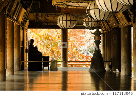 Sakurai City, Nara Prefecture, Head Temple of Yamato Province, Hasedera Temple, Main Hall with Autumn Leaves 117113046