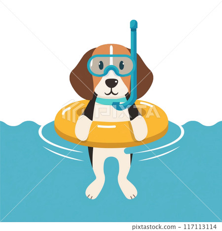 Beagle 4 enjoying snorkeling 117113114