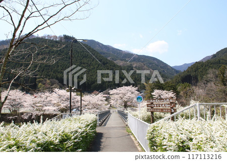 埼玉縣飯能市上栗市名栗交流公園風景 埼玉縣飯能市上栗市名栗交流公園風景 117113216