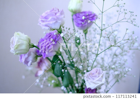 紫色桔梗和滿天星 117113241