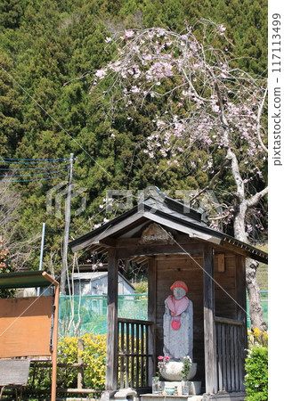 地藏菩薩所在的埼玉縣飯能市呈現出寧靜的春天景象。 117113499