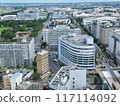 Aerial view of the city 117114092