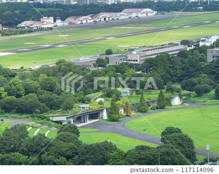 昭和紀念公園 117114096