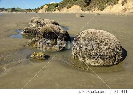 A group of Moeraki Boulders on Hampden Beach during spring in 2023 A group of Moeraki Boulders on Hampden Beach during spring in 2023 117114313