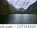 A view of Harrison Cove at Milford Sound in New Zealand with Pembroke Glacier in the background 117114324