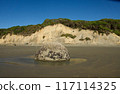 Moeraki Boulder on Hampden Beach in Otago New Zealand 117114325