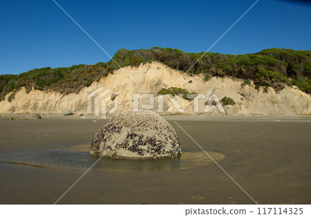 Moeraki Boulder on Hampden Beach in Otago New Zealand Moeraki Boulder on Hampden Beach in Otago New Zealand 117114325