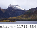 View from Glacier Rock of Dove Lake at Cradle Mountain in Tasmania 117114334