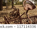 Historic farm equipment found on a farm in the Hunter Region Australia 117114336