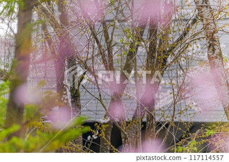 Corner house 117114557