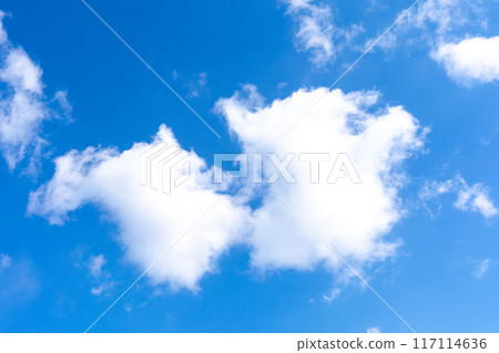 棉雲 棉雲 117114636