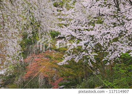 Corner house Corner house 117114907