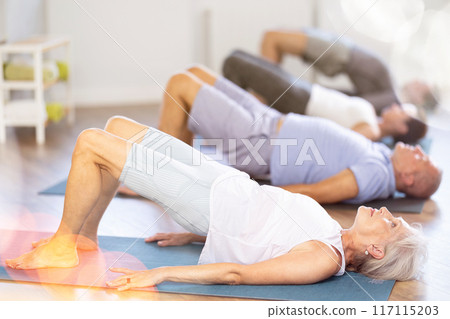 Elderly woman doing pilates in group 117115203
