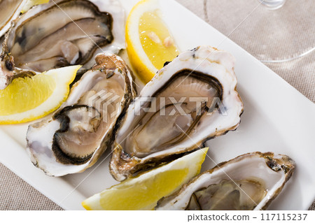 Oysters with lemon on plate Oysters with lemon on plate 117115237