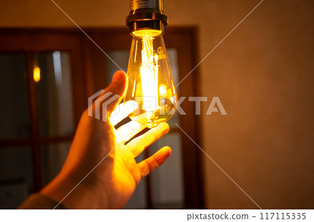 LED 裸燈泡更換 117115335