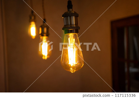 LED bare bulb 117115336