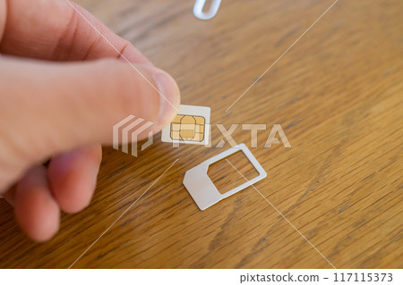 Multi-cut SIM 117115373