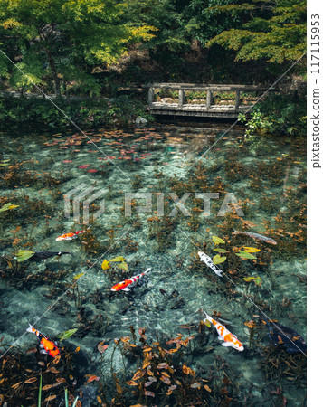 莫奈的池塘 117115953