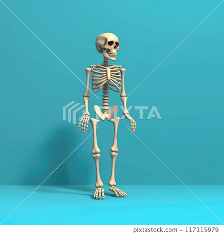 Human skeleton model posing on a blue background. Anatomical and medical. AIG35. 117115979
