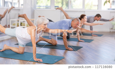 Diligent women and men doing body stretching before yoga class in a fitness studio Diligent women and men doing body stretching before yoga class in a fitness studio 117116080