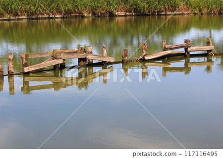 Scenery of Isanuma with its beautiful water surface Scenery of Isanuma with its beautiful water surface 117116495