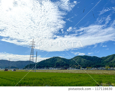 Autumn blue sky and white clouds, Takefu, Fukui Prefecture 117116630