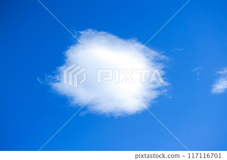 棉雲 棉雲 117116701