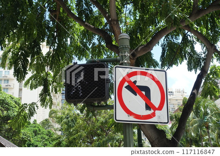 Pedestrian traffic lights and signs in Hawaii, USA Pedestrian traffic lights and signs in Hawaii, USA 117116847