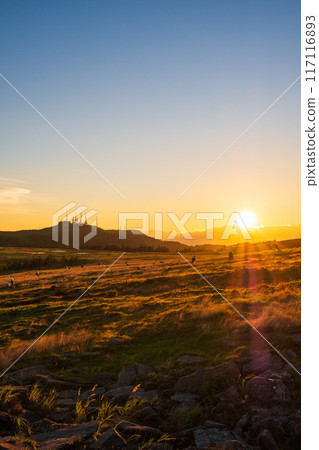 Utsukushigahara - Evening scenery 117116893