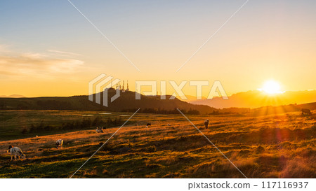 美原/日落景觀 美原/日落景觀 117116937