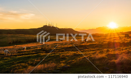 美原/日落景觀 美原/日落景觀 117116940