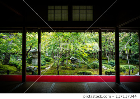 深綠色的圓光寺 117117344