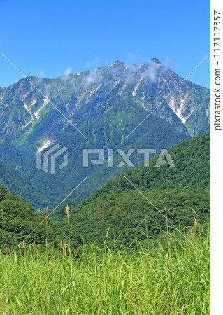 Summer view of Mt. Kashima-yari from Kurosawa Plateau 117117357
