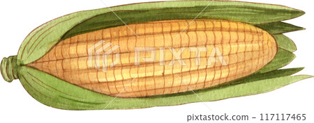 Waffles with fruit fillings.Sweet pastries with cream and fruits.PNG watercolor icon 117117465