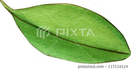 Orange story sweet watercolor png icon 117118124