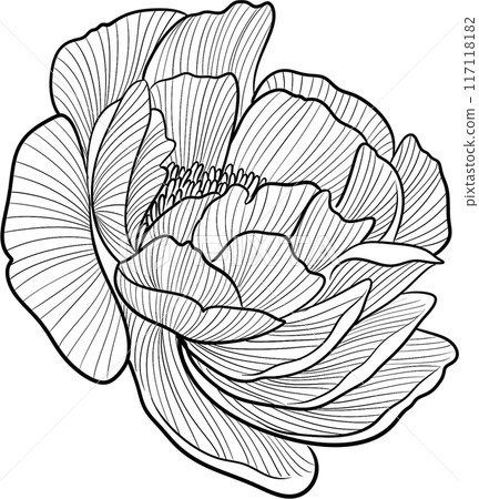Black line florals png icon 117118182