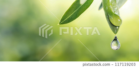 Simple Nature Background With Leaves And Falling Water Drop 117119203